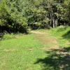 A grassy field featuring a dirt path leading into a wall of trees