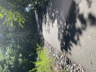 An asphalt road lined with smooth rocks and shrubs