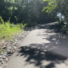 An asphalt road lined with smooth rocks and shrubs