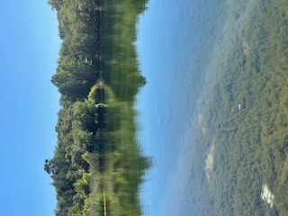 A view of Washington Lake with trees in the distance and the water clear enough to see the flora underneath
