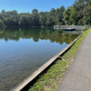 A view of Washington Lake with trees in the distance and the water clear enough to see the flora underneath