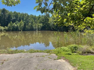 A path leading to a clearing overlooking Washington Lake