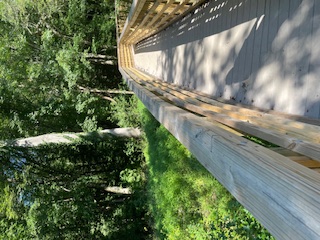 A wooden bridge suspended over green shrubbery