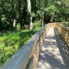 A wooden bridge suspended over green shrubbery