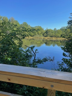 Washington lake from the perspective of a nearby bridge