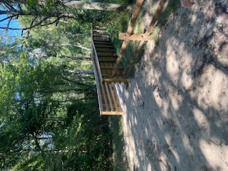 A dirt path lined with trees and shrubs leads to a wooden bridge